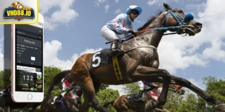 Đua ngựa là gì và tại sao hấp dẫn người chơi?