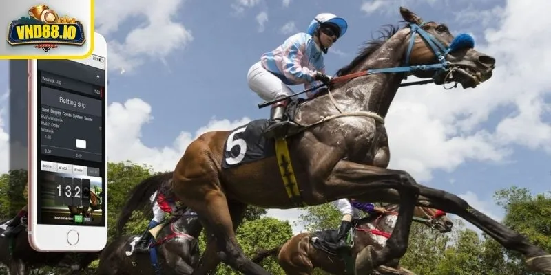 Đua Ngựa – Hướng Dẫn Chi Tiết Cho Người Chơi Cá Cược Mới Đua ngựa là gì và tại sao hấp dẫn người chơi?