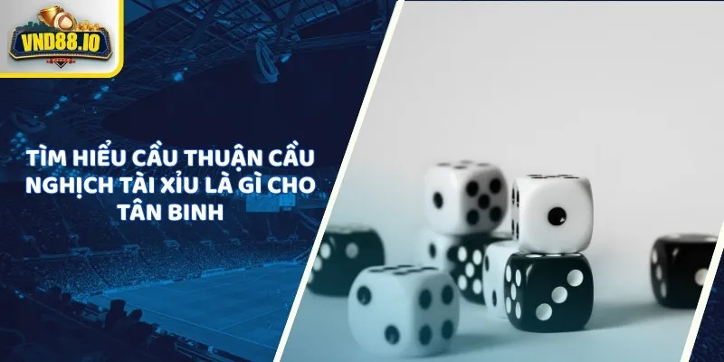 Cầu Thuận Cầu Nghịch Tài Xỉu Là Gì Và Kinh Nghiệm Chuẩn Xác Tìm hiểu cầu thuận cầu nghịch tài xỉu là gì cho tân binh